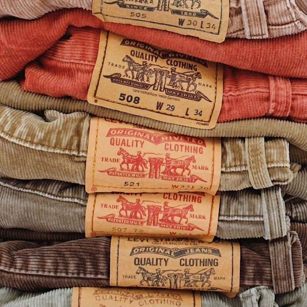 ISO Vintage Corduroy Levi Pants
